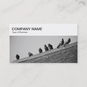 Top Panel - Pigeons on a Roof Business Card