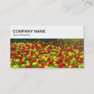 Top Panel - Red and Yellow Tulips 03 Business Card