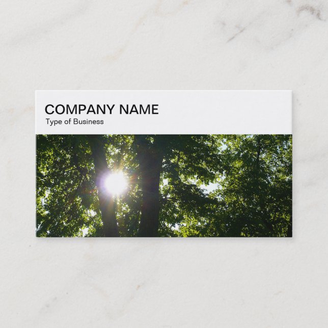 Top Panel - Sun Shining Through Trees Business Car Card (Front)