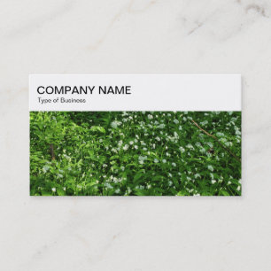Top Panel - Woodland Carpet Business Card