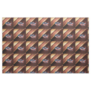 TOP Rugby in the USA Fabric