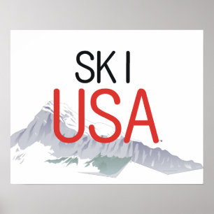 TOP Ski USA Poster