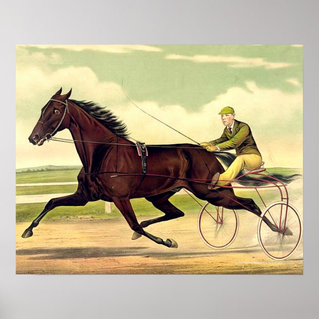 TOP Sulky Champ Poster (Front)