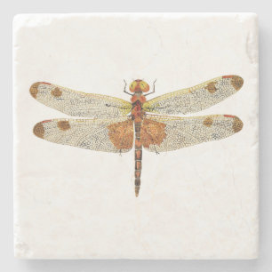 top view of a male Calico Pennant Dragonfly Stone Coaster