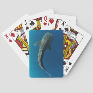 Top view of a Whale Shark Playing Cards