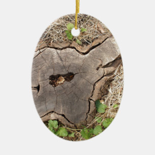 Top view of an old stump of cut tree cracked ceramic tree decoration