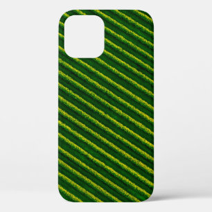 Top view of rows blackcurrant bushes, cultivated l iPhone 12 case