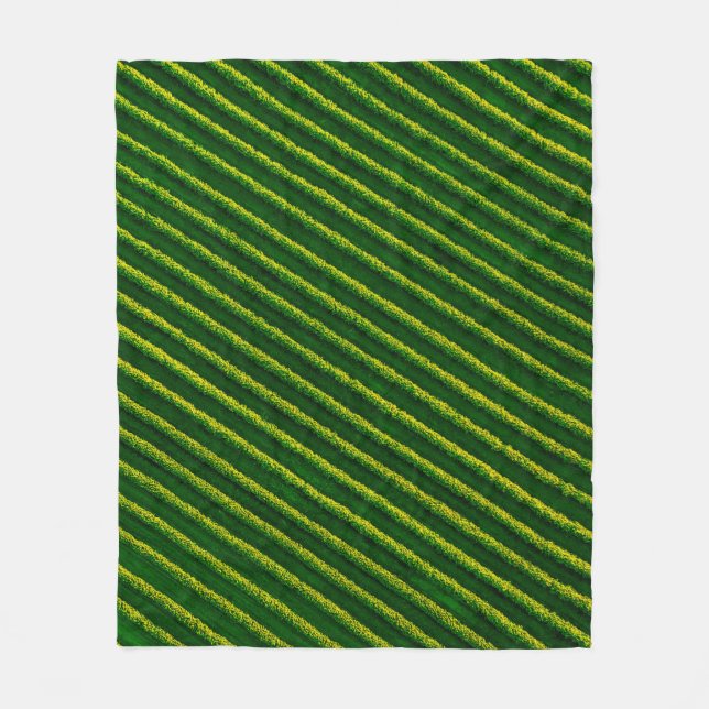 Top view of rows blackcurrant bushes, cultivated l fleece blanket (Front)