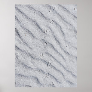 Top view of sand dunes poster