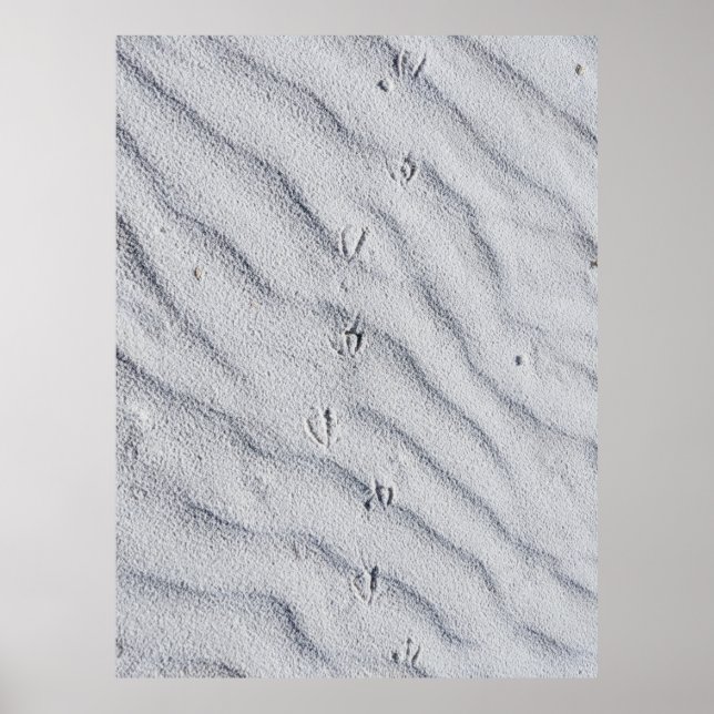 Top view of sand dunes poster (Front)