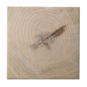 Top view of the annual rings of cut tree closeup tile