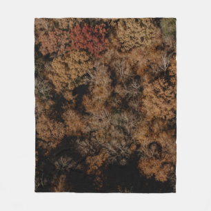 Top-view photography of tree fleece blanket