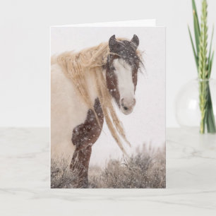 "Topeka in Winter" Holiday Card