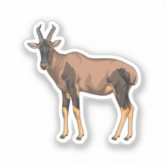 Topi vector illustration