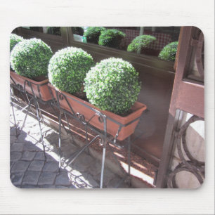 Topiary Balls Mouse Mat