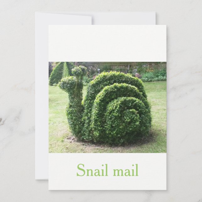 Topiary green garden snail mail unique quirky (Front)