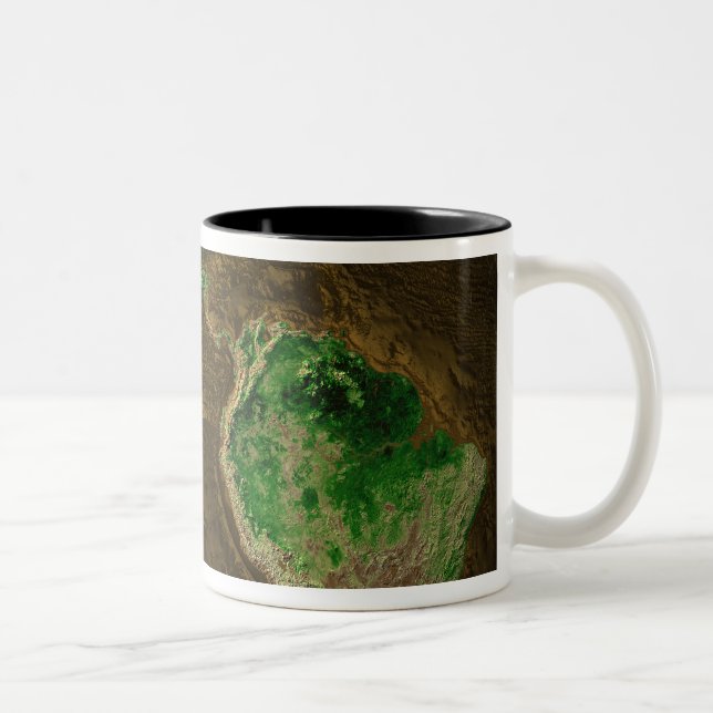 Topographic Map of Earth Two-Tone Coffee Mug (Right)