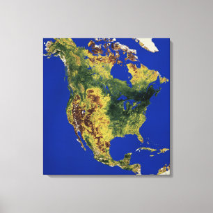 Topographic View of North and Central America Canvas Print