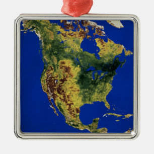 Topographic View of North and Central America Metal Tree Decoration