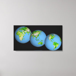 Topographic views of the world canvas print