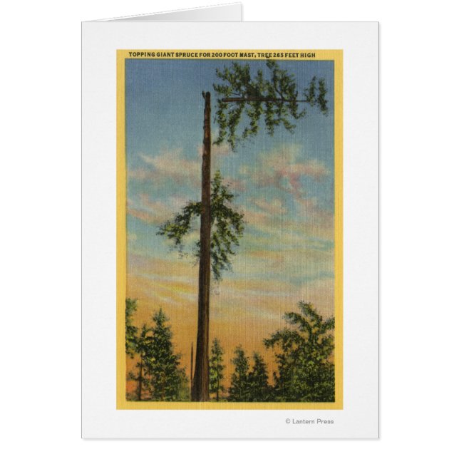 Topping Giant Spruce for 200 ft. Sailing (Front)