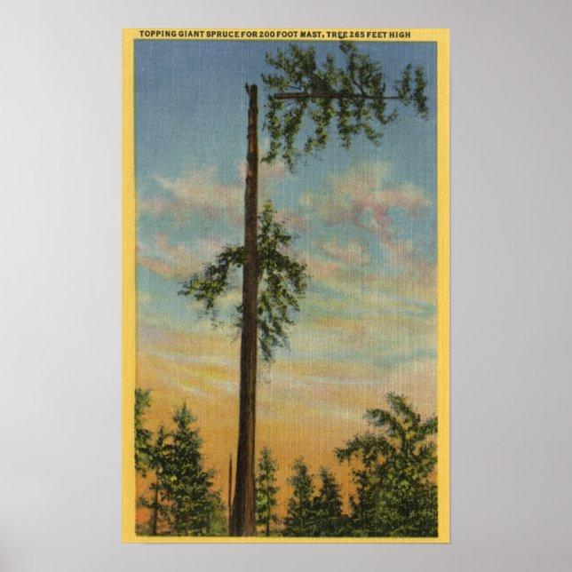 Topping Giant Spruce for 200 ft. Sailing Poster (Front)