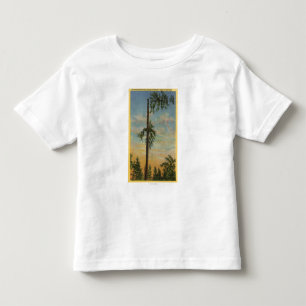 Topping Giant Spruce for 200 ft. Sailing Toddler T-Shirt