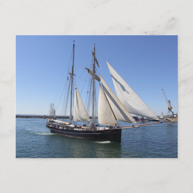 Topsail gulet postcard (Front)