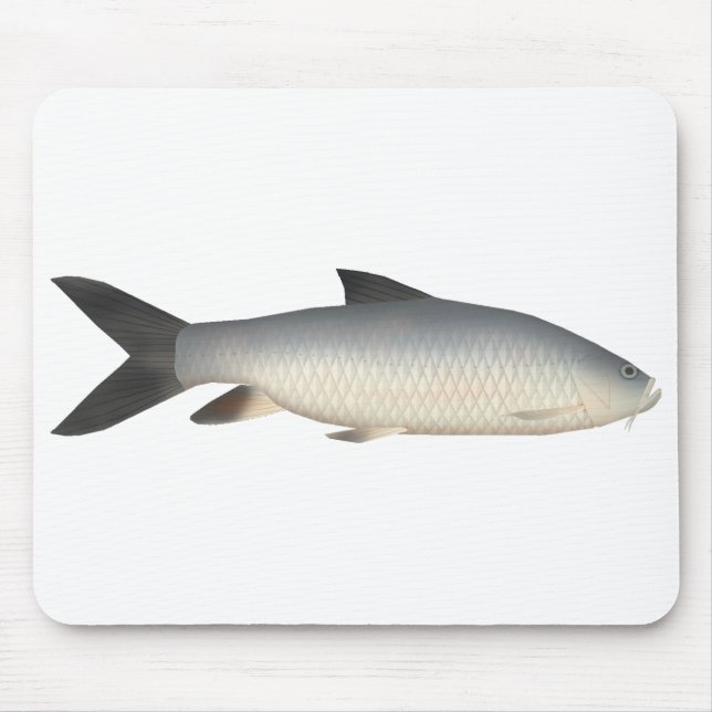 Tor Mahseer Mouse Mat (Front)