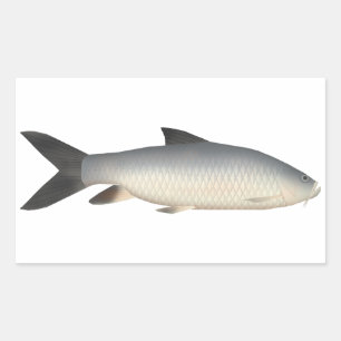 Tor Mahseer Rectangular Sticker