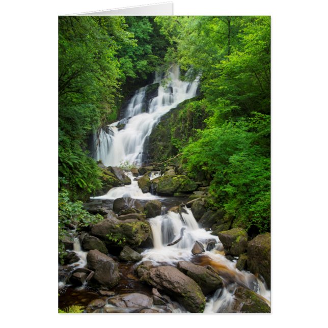 Torc waterfall scenic, Ireland (Front)