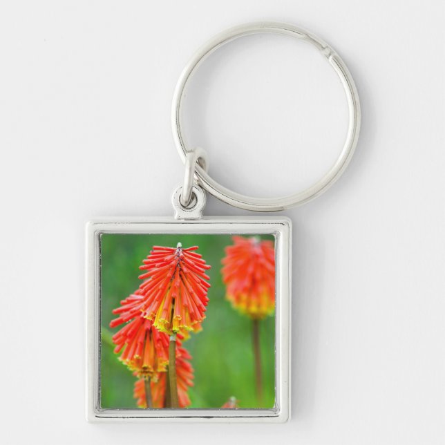 Torch Lily (Kniphofia Uvaria), Western Cape Key Ring (Front)