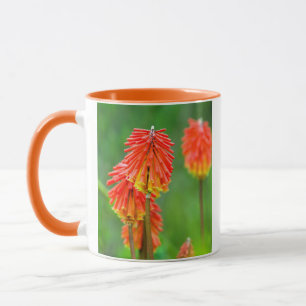 Torch Lily (Kniphofia Uvaria), Western Cape Mug