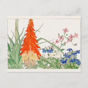 Torch lily, Lobelia by Tanigami Konan Postcard