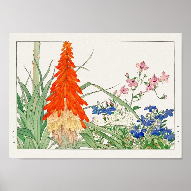 Torch lily, Lobelia by Tanigami Konan Poster (Front)