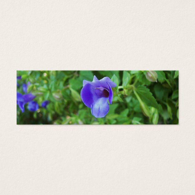 Torenia Bookmark (Front)