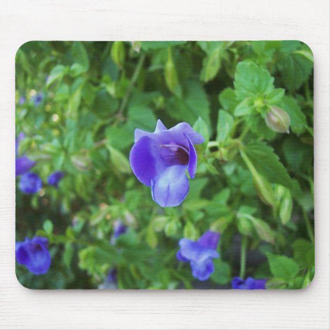 Torenia Mousepad (Front)