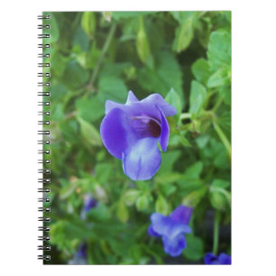 Torenia Notebook