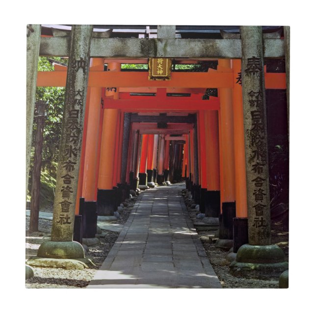 Torii gates - Kyoto, Japan, Asia Tile (Front)