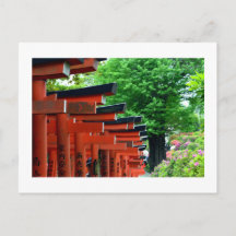 Torii Gates, Nezu Shrine: Tokyo, Japan Postcard