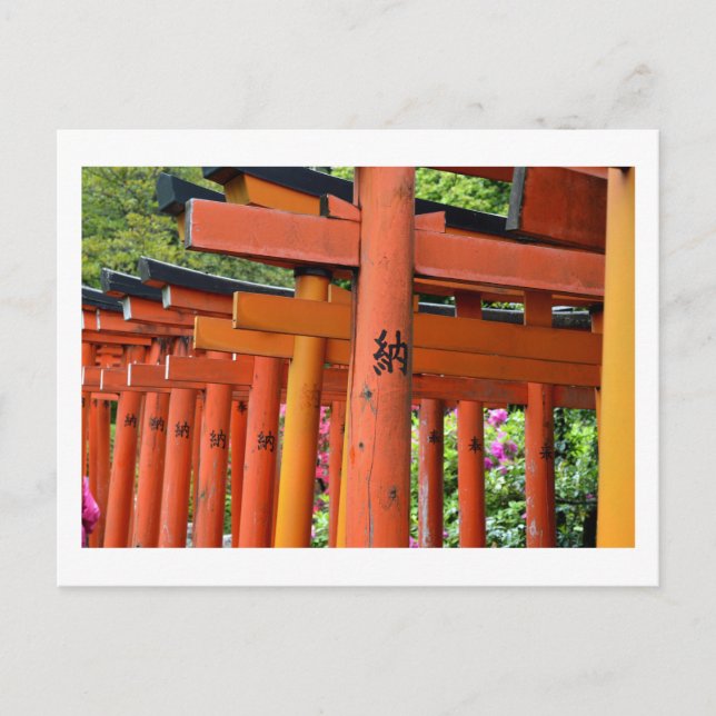 Torii Gates, Nezu Shrine: Tokyo Postcard (Front)