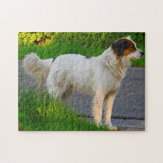 Tornjak Dog Jigsaws. Jigsaw Puzzle (Horizontal)
