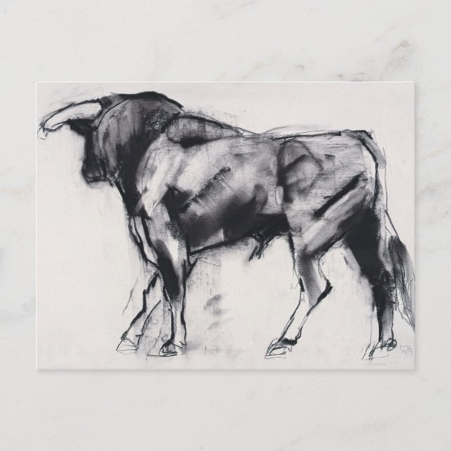 Toro Azul study Postcard (Front)