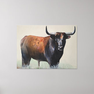 Toro Bravo Canvas Print