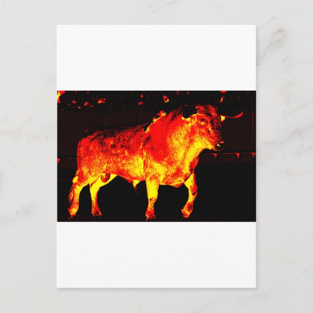 TORO BRAVO POSTCARD (Front)