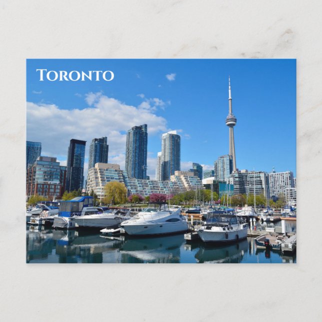 Toronto Canada City Skyline Travel Photo Postcard (Front)