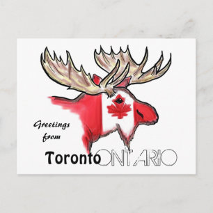 Toronto Ontario Canada local flag postcard