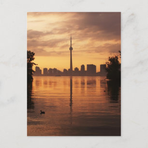 Toronto Postcard