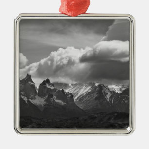 Torres Del Paine National Park, Cuernos and Metal Tree Decoration