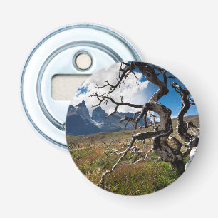 Torres del Paine National Park, fire damaged trees Bottle Opener